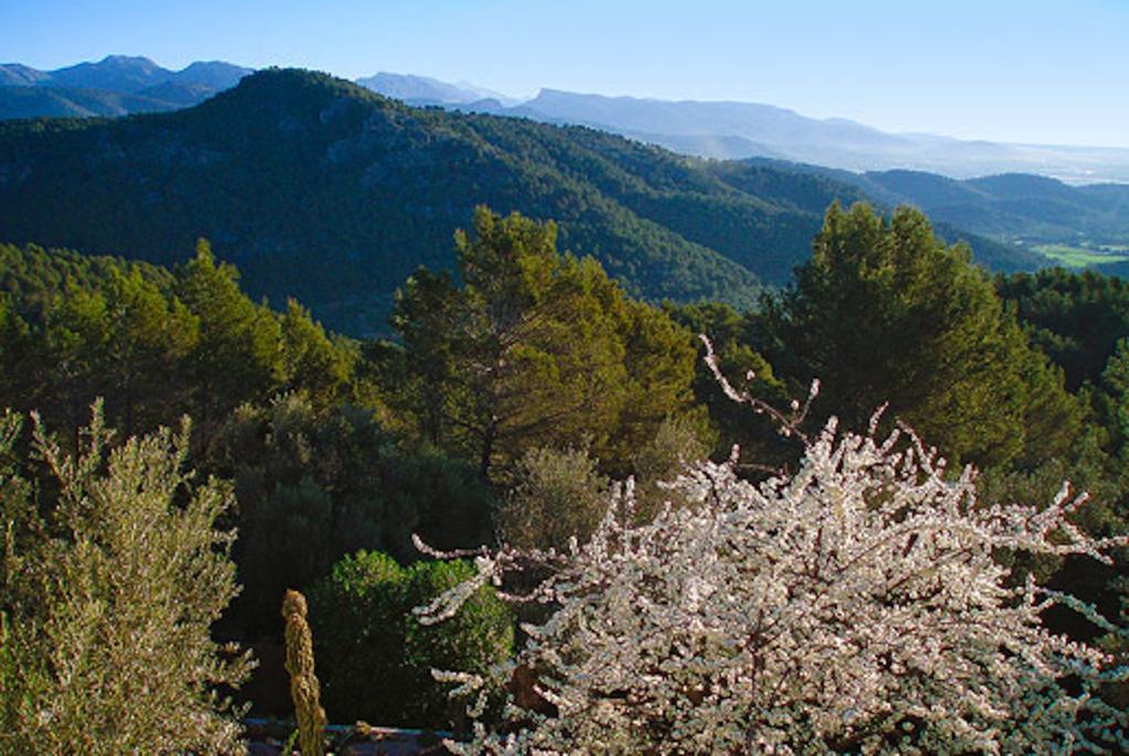 loftOtel canet Esporles Esterno foto